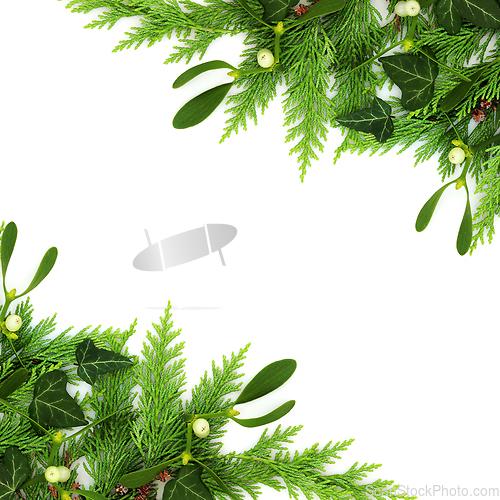 Image of Natural Christmas Winter Greenery Background Border 