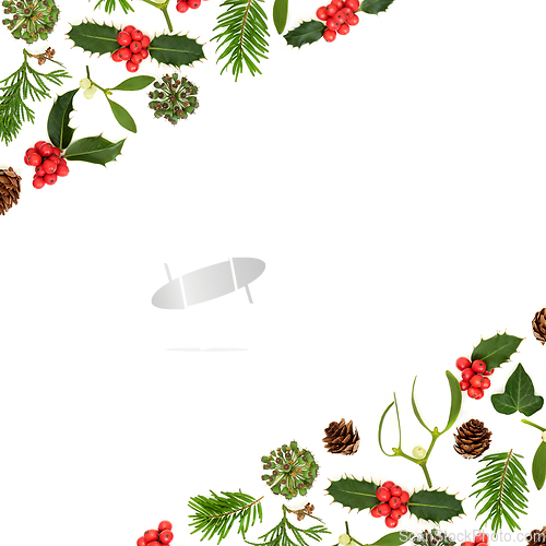 Image of Traditional Christmas Winter Flora Background Border 