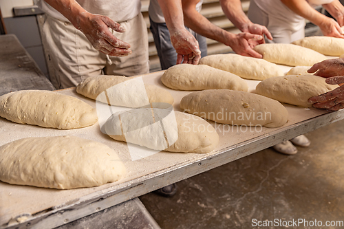 Image of Bakers forming bread loaves