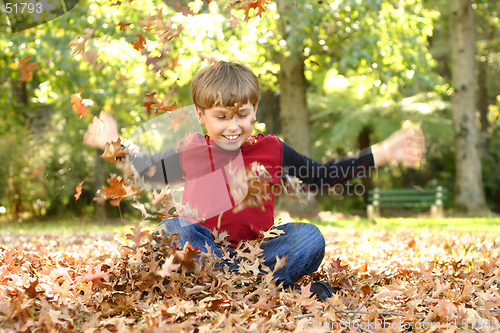 Image of Playing in Leaves