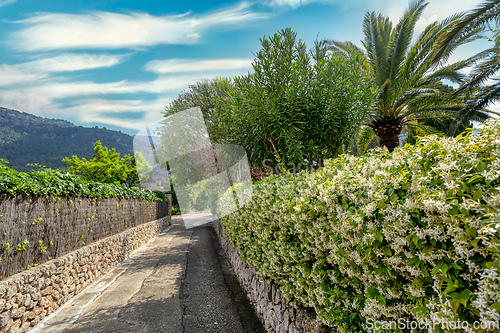 Image of Narrow streets in historic center of town of Valldemossa, Balearic Islands Mallorca Spain.