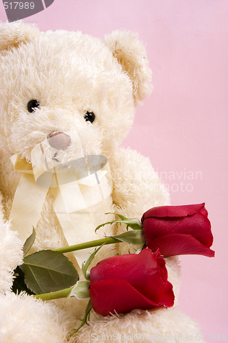 Image of Bear