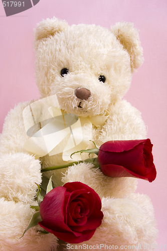 Image of Bear