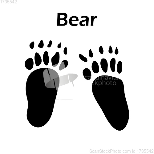 Image of Bear Footprint