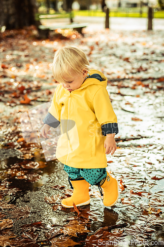 Image of Small bond infant boy wearing yellow rubber boots and yellow waterproof raincoat walking in puddles on a overcast rainy day. Child in the rain.