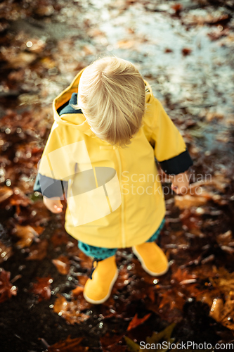 Image of Small bond infant boy wearing yellow rubber boots and yellow waterproof raincoat walking in puddles on a overcast rainy day. Child in the rain.