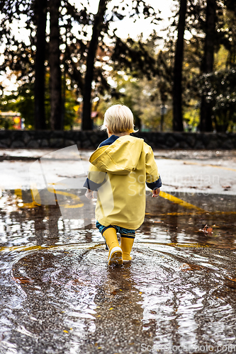 Image of Small bond infant boy wearing yellow rubber boots and yellow waterproof raincoat walking in puddles on a overcast rainy day. Child in the rain.