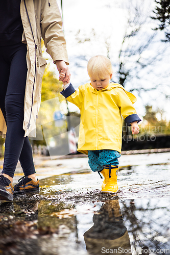 Image of Small bond infant boy wearing yellow rubber boots and yellow waterproof raincoat walking in puddles on a overcast rainy day holding her mother's hand. Mom with small child in rain outdoors.