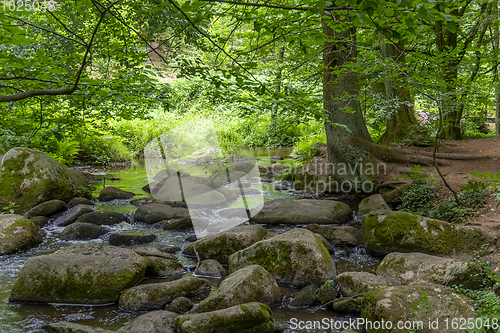 Image of nature reserve in the Bavarian Forest