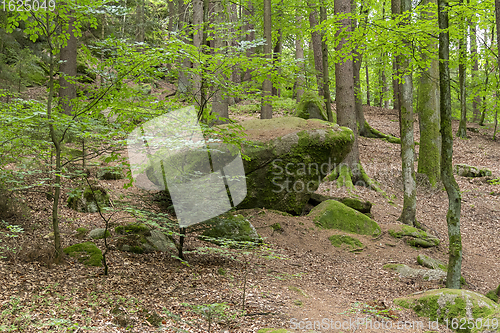 Image of nature reserve in the Bavarian Forest