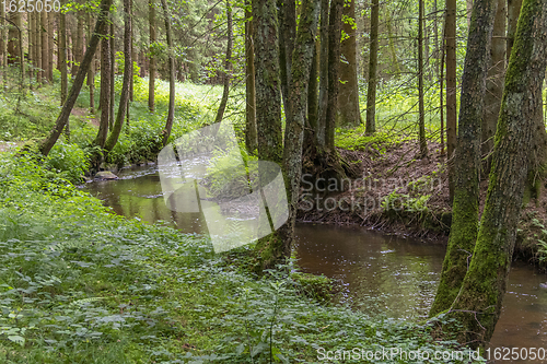 Image of nature reserve in the Bavarian Forest