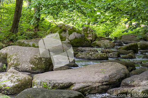 Image of nature reserve in the Bavarian Forest