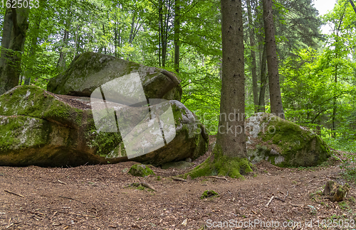 Image of nature reserve in the Bavarian Forest