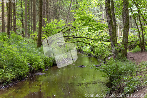 Image of nature reserve in the Bavarian Forest