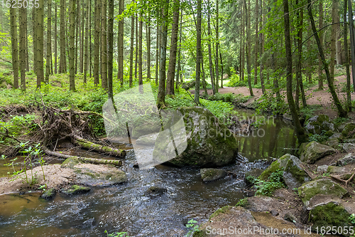 Image of nature reserve in the Bavarian Forest