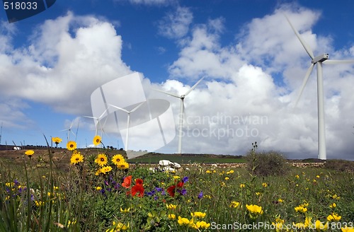 Image of eolic generator in a wind farm