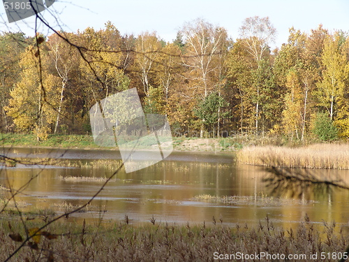 Image of autumn pond