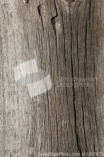 Image of abstract wooden surface