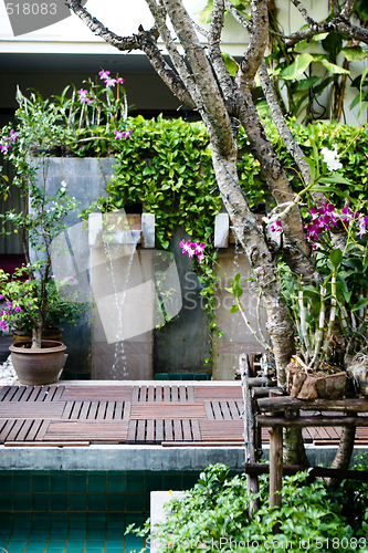 Image of Garden