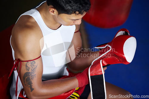 Image of Strong, getting ready and a man with gloves for boxing, a fight competition or gym training. Fitness, club and a boxer or fighter with equipment to start sports, exercise or martial arts match