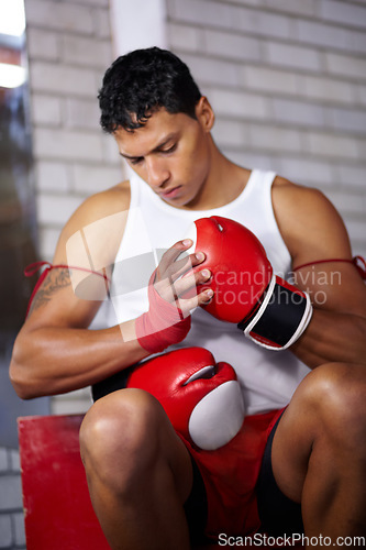 Image of Gloves, getting ready and a man at a gym for boxing, martial arts training or cardio. Fitness, health and a boxer, fighter or athlete with equipment to start sports, exercise or a workout at a club