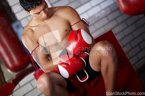 Image of Fitness, gym and a man with gloves for boxing, cardio and getting ready for a match. Strong, exercise and a boxer, fighter or athlete with equipment to start a martial arts competition at a club