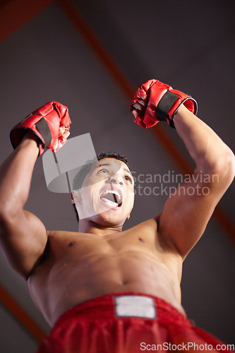 Image of Celebration, excited and sports man, boxer or fighter happy for gym achievement, success or winning kickboxing contest. MMA winner, below view and warrior celebrate boxing, fight or muay thai victory