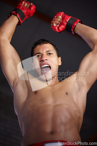 Image of Celebration portrait, sports and MMA man scream, energy and cheers andfor gym achievement, success or kickboxing champion. Boxing winner, below view and boxer motivation, commitment and fight victory