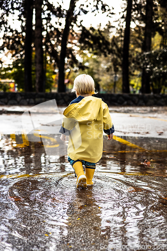 Image of Small bond infant boy wearing yellow rubber boots and yellow waterproof raincoat walking in puddles on a overcast rainy day. Child in the rain.