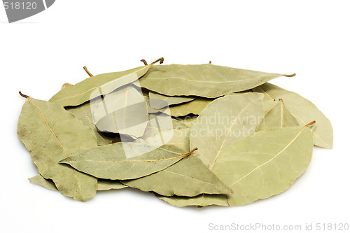 Image of Bay leaves