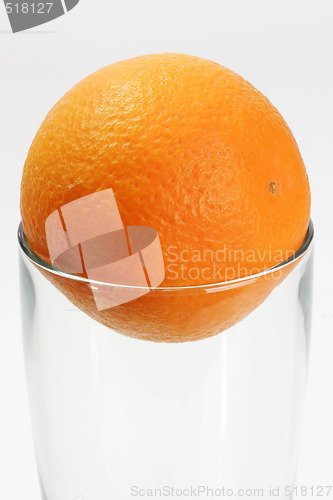 Image of One orange