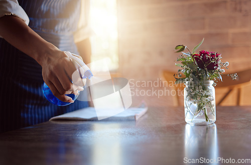 Image of Hand, cleaning and coffee shop with a woman spraying a table in her restaurant for hygiene and sanitizing. Flowers, cafe and surface with a female employee washing inside for service and cleanliness