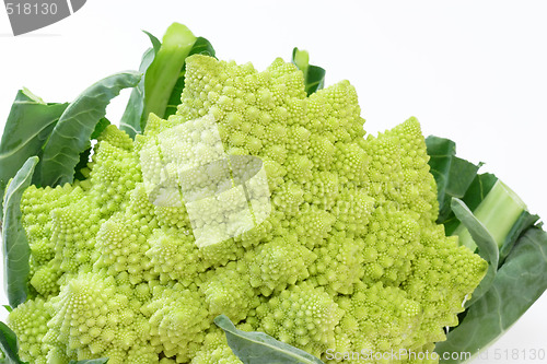 Image of Romanesco_6