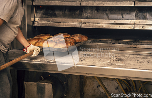 Image of Baked breads from hot oven