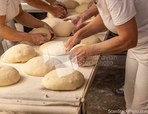 Image of Bakers forming bread loaves