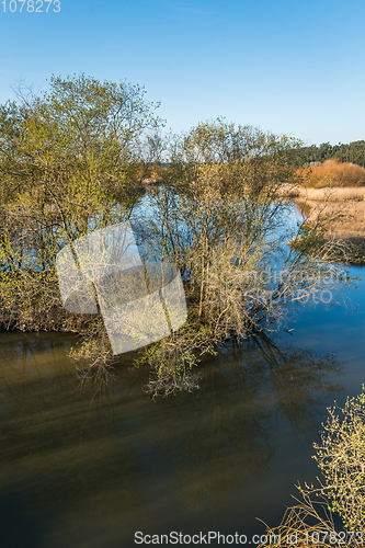 Image of Pateira de Fermentelos