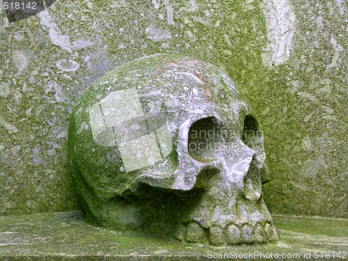 Image of Stone skull