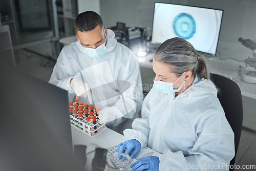 Image of Covid research, blood lab and scientist working on science data for hospital with employee together at work. Healthcare technician on the internet typing email about medical results with face mask