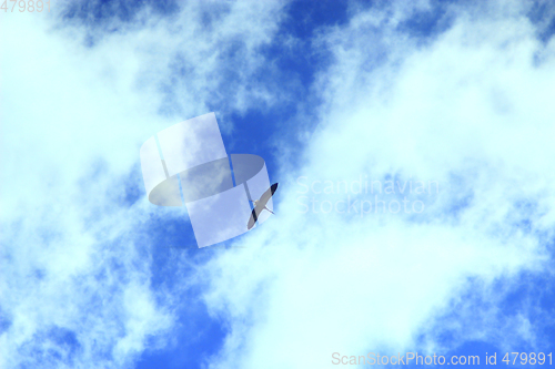 Image of stork flying in the blue sky