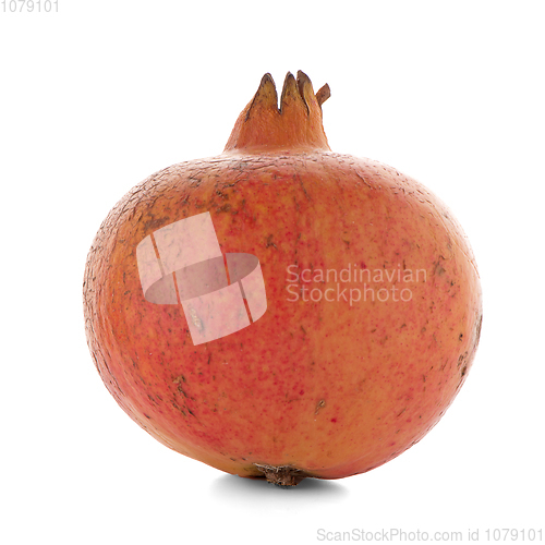 Image of Ripe pomegranate fruit