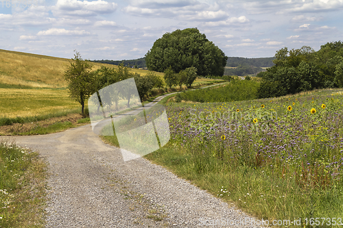 Image of around Jagst Valley in Hohenlohe