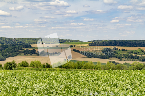 Image of around Jagst Valley in Hohenlohe