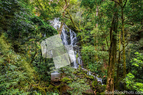 Image of Waterfall in deep forest, Rincon de la Vieja National Costa Rica landscape