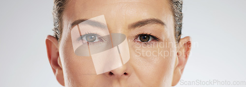 Image of Beauty cosmetics, woman and eyes for botox or dermatology treatment in healthy facial skincare mockup. Mature person or model face for eyebrows and eyelashes makeup product in studio gray background