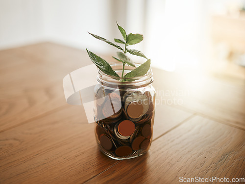 Image of Growth, investment and economy with money and plant in a glass for financial, cash and savings planning. Future, sustainability and cash for budget, investing and finance with coins in a jar
