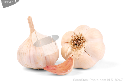 Image of Garlic