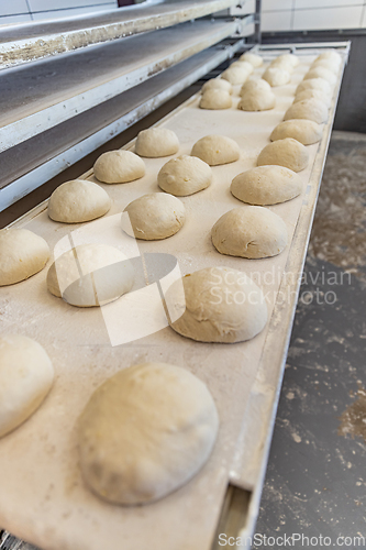 Image of Ball of raw bread dough