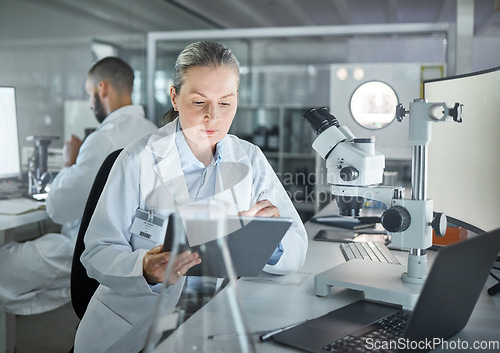 Image of Science woman, expert and tablet laboratory research, medical innovation and biology test online. Senior, focus and analytics scientist, physics worker and digital data planning for medicine analysis