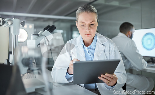Image of Science, tablet and innovation with a woman engineer doing research in a medical laboratory. Analytics, internet and technology with a doctor or scientist working on future development in her lab