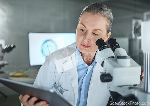 Image of Thinking laboratory woman, microscope or tablet in science research, Canada healthcare innovation or future vaccine study. Mature scientist, dna worker or medical technology in medicine data analysis